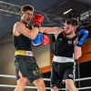mistrovství České republiky v boxu    zdroj foto: Česká boxerská asociace, z.s.