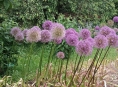 Výstaviště Flora Olomouc rozšířilo počet svých Národních sbírek