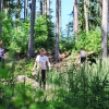 Přebor České republiky v orientačním běhu policistů a hasičů 2026  zdroj foto: HZS OLK