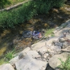 DN Oskava zdroj foto: PČR