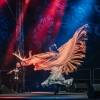 Galavečer flamenca              zdroj foto.olk