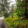 zásah hasičů zdroj foto: HZS OLK
