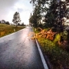 zásah hasičů zdroj foto: HZS OLK