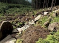 Sedmým divem Olomouckého kraje pro rok 2012 jsou Rychlebské stezky