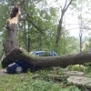 Silná větev ve Skorošicích spadla na automobil zdroj foto:HZS Ok