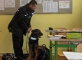 Snědl policejní pes svačinu ve škole?