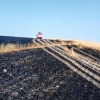 Hořelo pět hektarů pole u Nové Hradečné    zdroj foto:HZS Ok