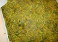 Zelený čaj z Číny obsahoval pesticidy