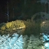 Vysoké Žibřidovice - spadlý strom přes komunikaci    zdroj foto:HZS Ok