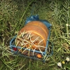 Červenka - odcizených 86 kilo sýru              zdroj foto: PČR