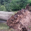 hasiči likvidují popadané stromy      zdroj foto: HZS Ok