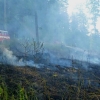 Dlouhomilov - požár porostu              zdroj foto: HZS Ok