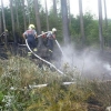 Krchleby - hasiči likvidují požár lesa           zdroj foto: HZS Ok
