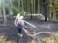 AKTUALIZOVÁNO! Pravděpodobně po úderu blesku začal hořet les za obcí Krchleby