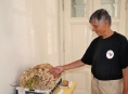 Nejvzácnější exponát na výstavě hub je Kotrč Němcův