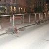 Olomouc - rozbíté skleněné výplně tramvajových zastávek na ulici Palackého zdroj foto: PČR