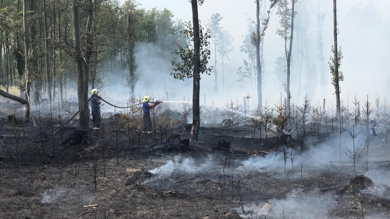 požár lesa - Olomoucký kraj zdroj foto: HZS OLK