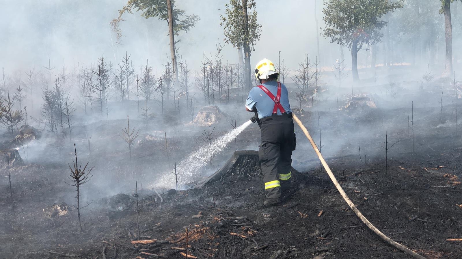 požár lesa - Olomoucký kraj zdroj foto: HZS OLK