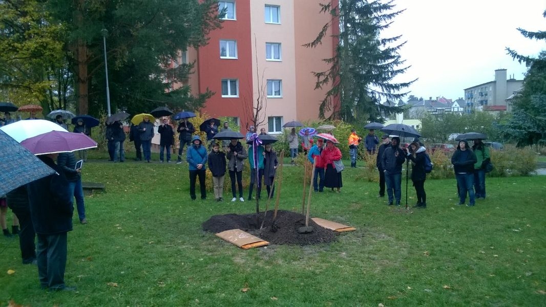 Šumperští školáci se zapojili do projektu Staleté kořeny zdroj foto: V.ZŠ