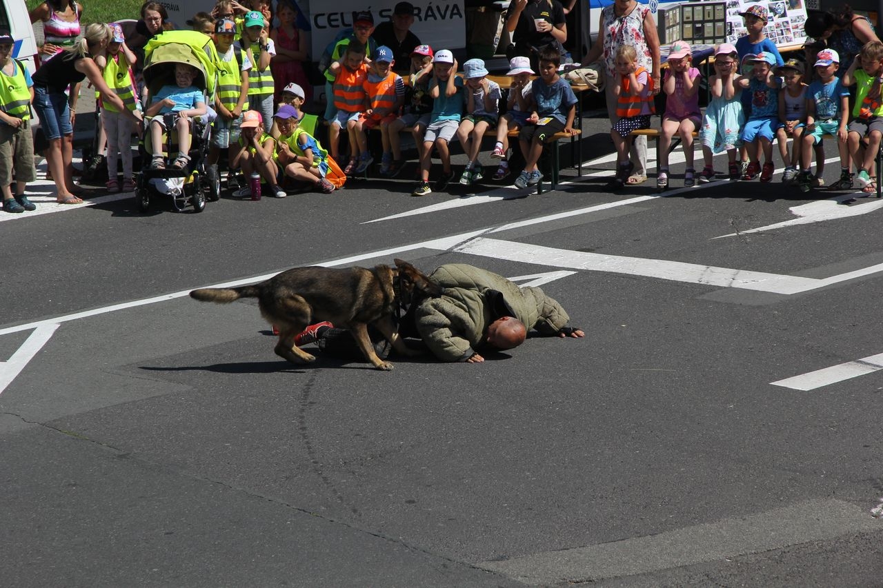 Den Policie ČR aneb IZS v akci - Šumperk 2019 zdroj foto: PČR