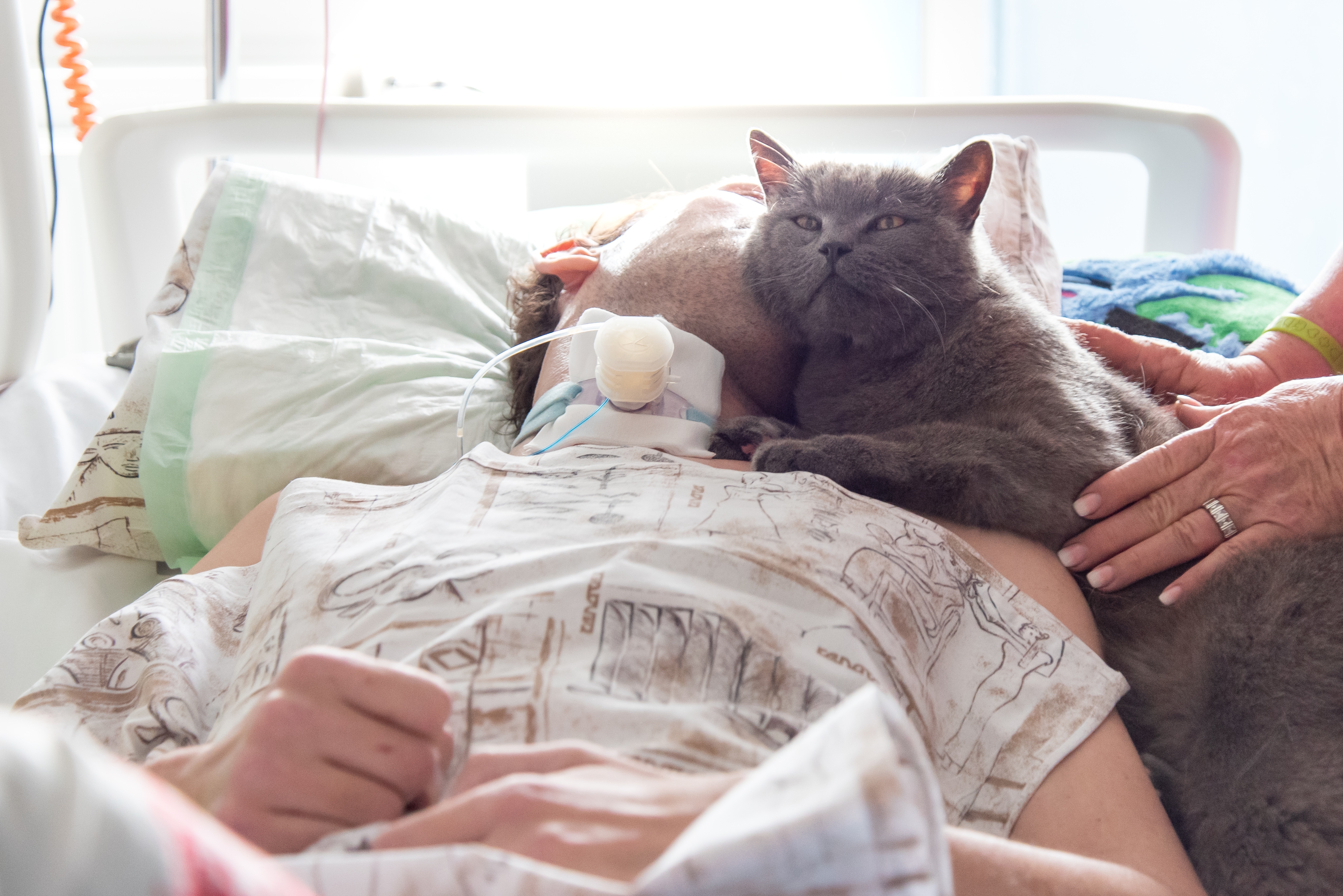 Domácí mazlíčci pomáhají také léčit zdroj foto: FNOLK