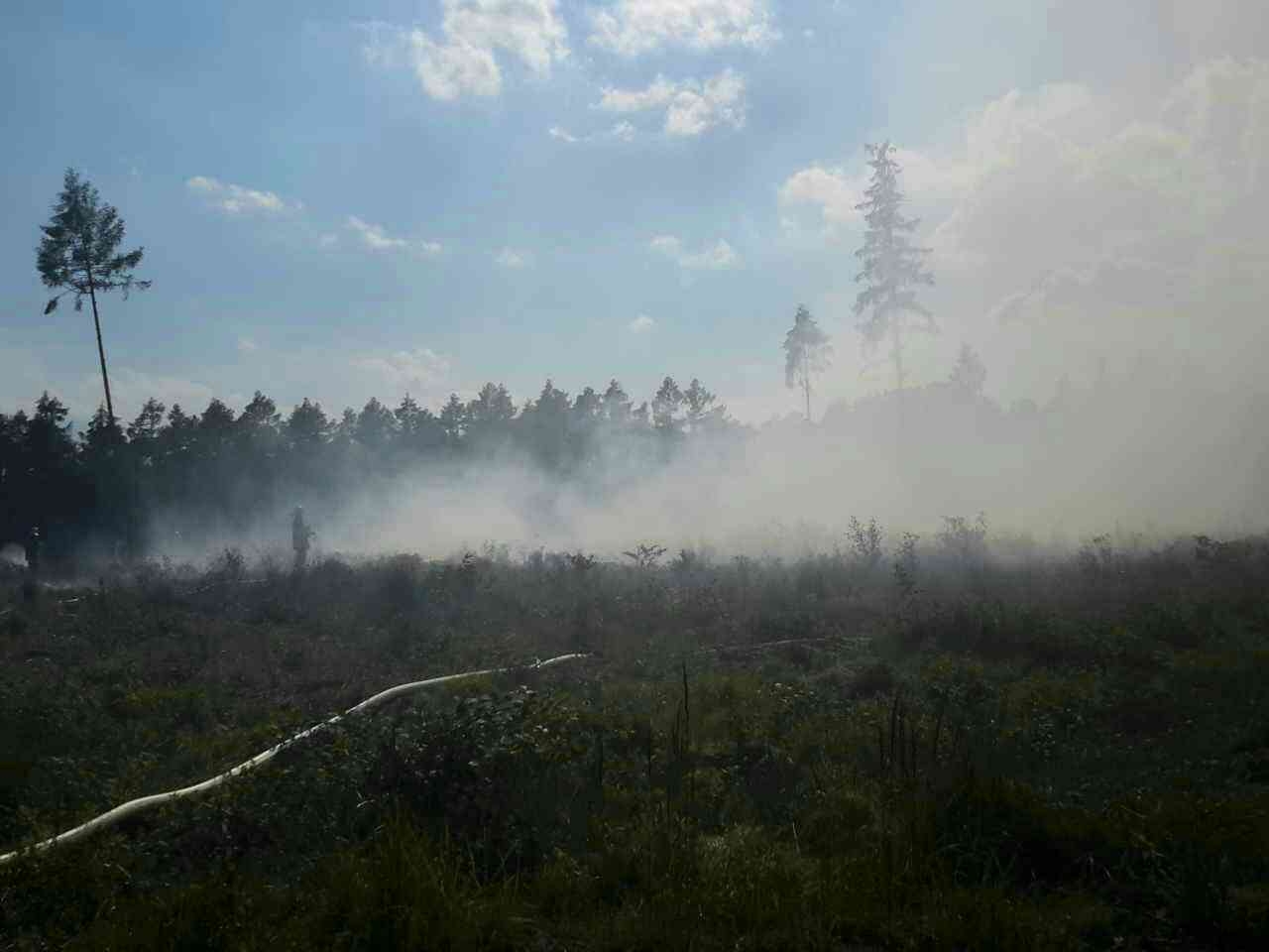 Lesní požáry v Olomouckém kraji zdroj foto: HZS OLK