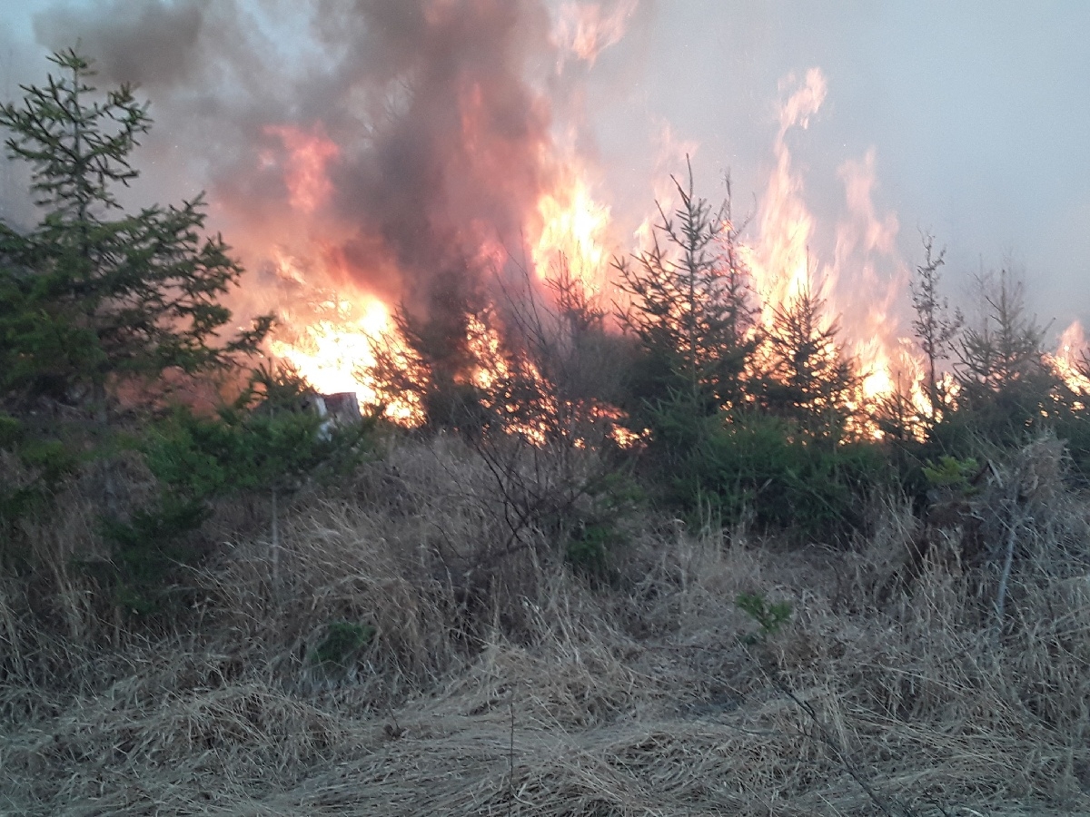 Hasiči v kraji likvidovali devět požárů lesa zdroj foto: HZS OLK