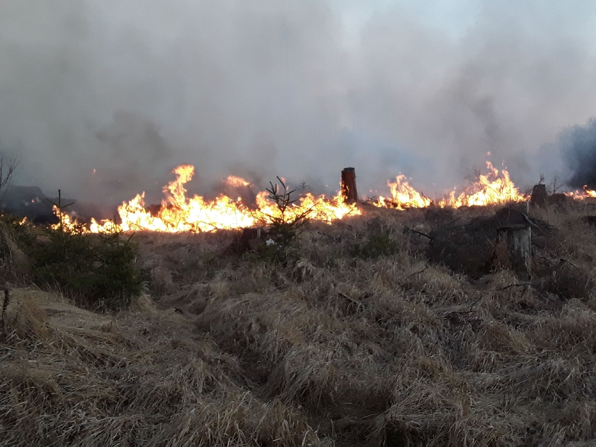 Hasiči v kraji likvidovali devět požárů lesa zdroj foto: HZS OLK