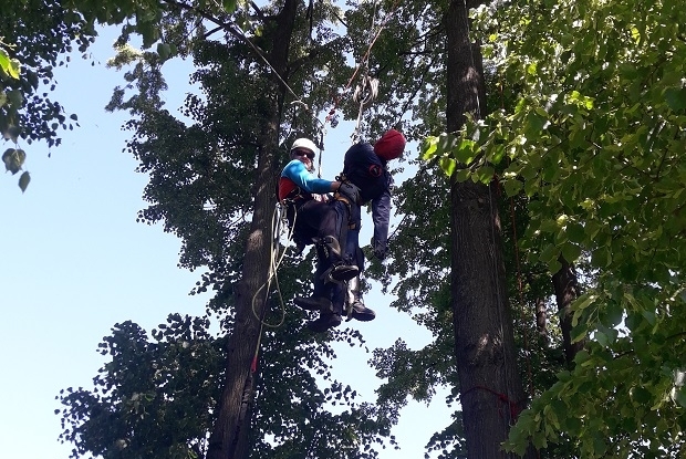 Evakuace paraglidisty ze stromu na Šumpersku zdroj foto: HS Jeseníky